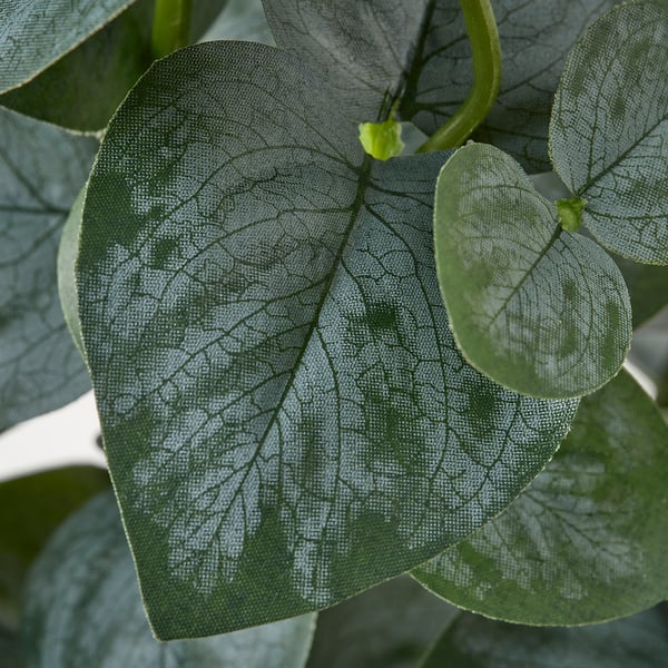 FEJKA Plante artificielle, intérieur/extérieur eucalyptus, 15 cm