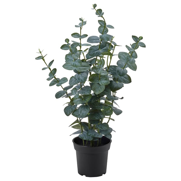 FEJKA Plante artificielle, intérieur/extérieur eucalyptus, 15 cm