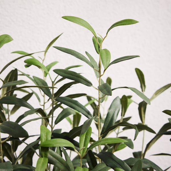 FEJKA Plante artificielle, intérieur/extérieur/Olivier vert, 19 cm