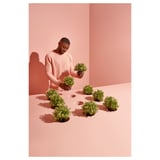 FEJKA Plante artificielle, thym, 9 cm