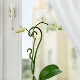 KERMESBÄR Support pour plante, vert foncé