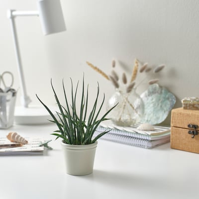 KÖRSBÄRSBJÖRK Cache-pot, beige-gris clair, 6 cm