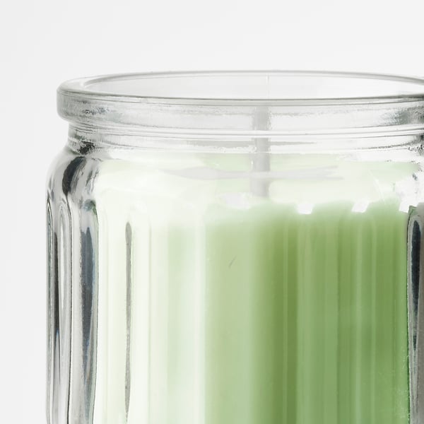 LÖVSKOGSLUND Bougie parfumée dans verre, pomme/vert clair, 12 hr