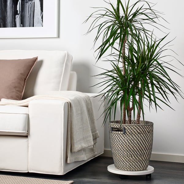 RÅGKORN Cache-pot, intérieur/extérieur gris foncé/beige, 24 cm