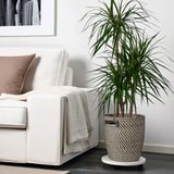 RÅGKORN Cache-pot, intérieur/extérieur gris foncé/beige, 24 cm