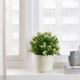 SESAMFRÖN Cache-pot, intérieur/extérieur blanc cassé, 9 cm