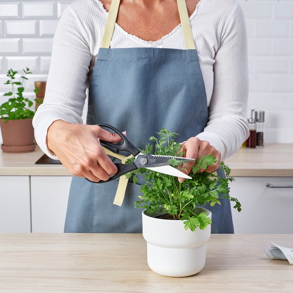 SVARTFISK Ciseaux de cuisine, acier inoxydable/noir