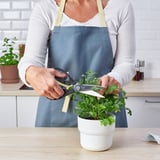 SVARTFISK Ciseaux de cuisine, acier inoxydable/noir