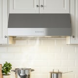 UPPFRISKANDE Hotte aspirante murale, couleur acier inox, 80 cm