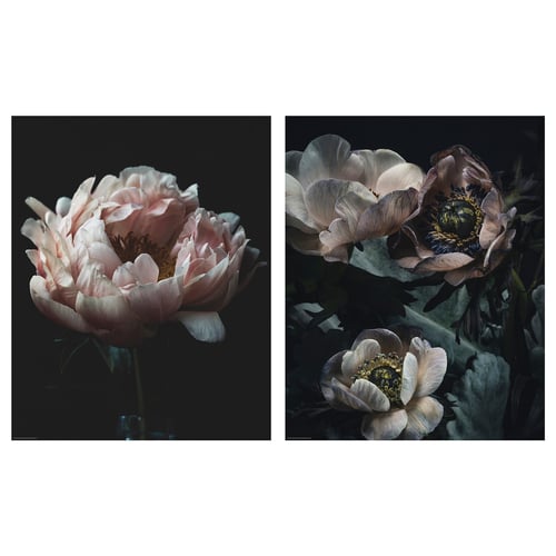 BILD Poster, still life al buio, 40x50 cm