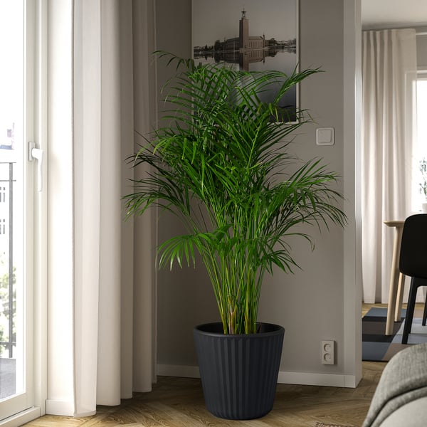 BJÖRNBAMBU Portavasi, da interno/esterno grigio scuro, 32 cm
