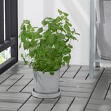 BOYSENBÄR Sottovaso, da interno/esterno grigio chiaro, 15 cm