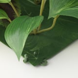 FEJKA Pianta artificiale, da parete/da interno/esterno verde/lilla, 26x26 cm