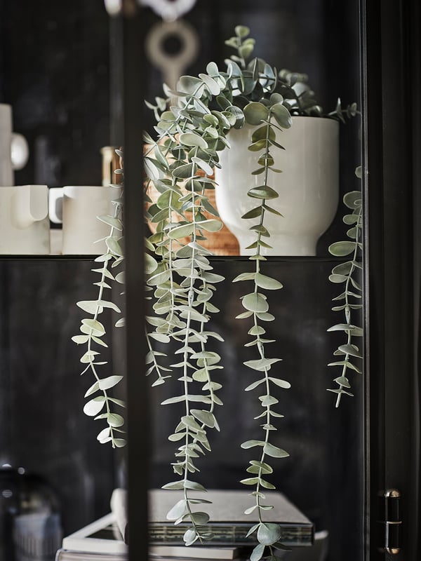 FEJKA Pianta artificiale in vaso, da interno/esterno a sospensione/eucalipto, 9 cm