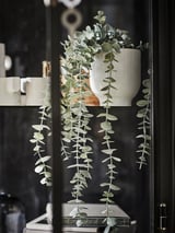 FEJKA Pianta artificiale in vaso, da interno/esterno a sospensione/eucalipto, 9 cm