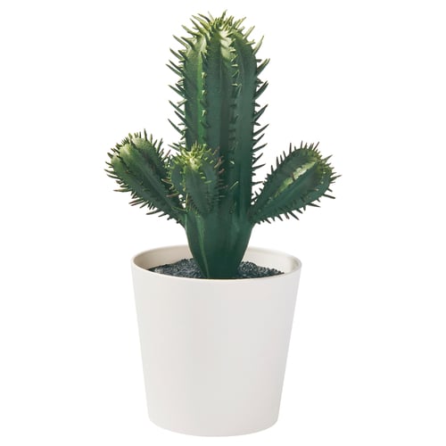 FEJKA Pianta artificiale in vaso, da interno/esterno cactus, 6 cm