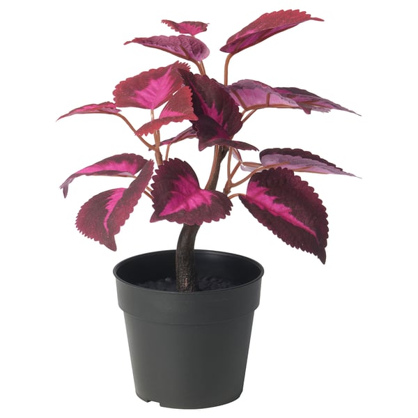 FEJKA Pianta artificiale in vaso, da interno/esterno Coleus/rosso, 9 cm