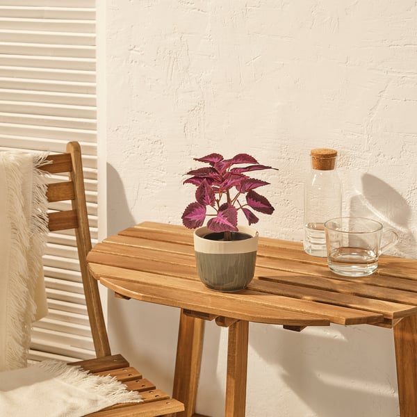 FEJKA Pianta artificiale in vaso, da interno/esterno Coleus/rosso, 9 cm