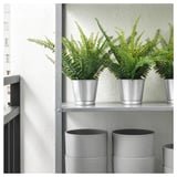 FEJKA Pianta artificiale in vaso, da interno/esterno felce, 9 cm
