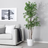 FEJKA Pianta artificiale in vaso, da interno/esterno Ficus benjamina, 21 cm