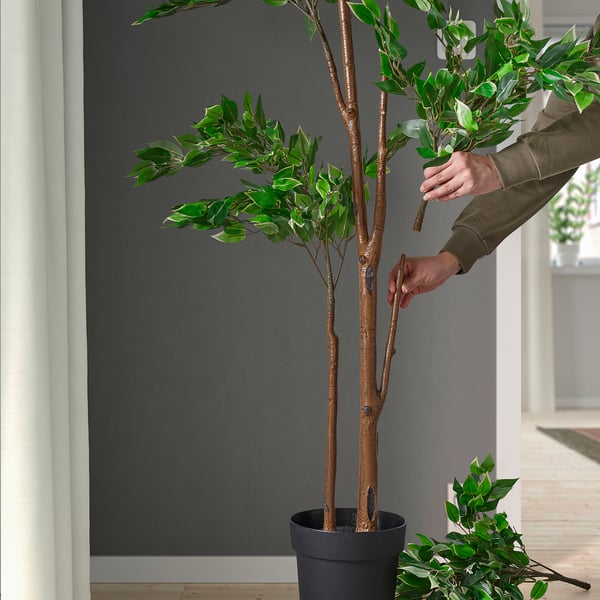 FEJKA Pianta artificiale in vaso, da interno/esterno Ficus benjamina, 21 cm