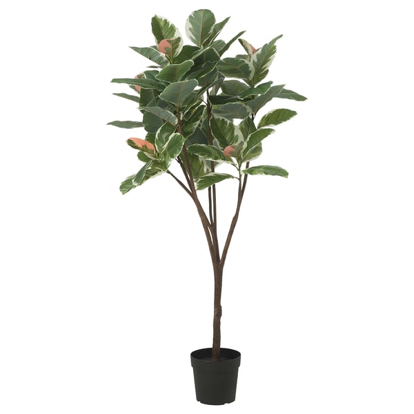 FEJKA Pianta artificiale in vaso, da interno/esterno Ficus del caucciù, 23 cm