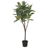 FEJKA Pianta artificiale in vaso, da interno/esterno Ficus del caucciù, 23 cm