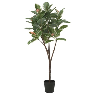 FEJKA Pianta artificiale in vaso, da interno/esterno Ficus del caucciù, 23 cm