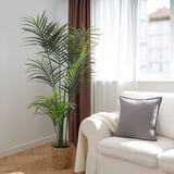 FEJKA Pianta artificiale in vaso, da interno/esterno Kentia forsteriana, 23 cm