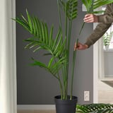 FEJKA Pianta artificiale in vaso, da interno/esterno Kentia forsteriana, 23 cm