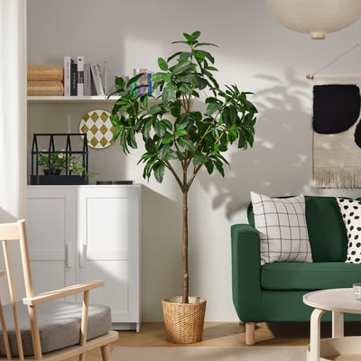 FEJKA Pianta artificiale in vaso, da interno/esterno Magnolia, 23 cm
