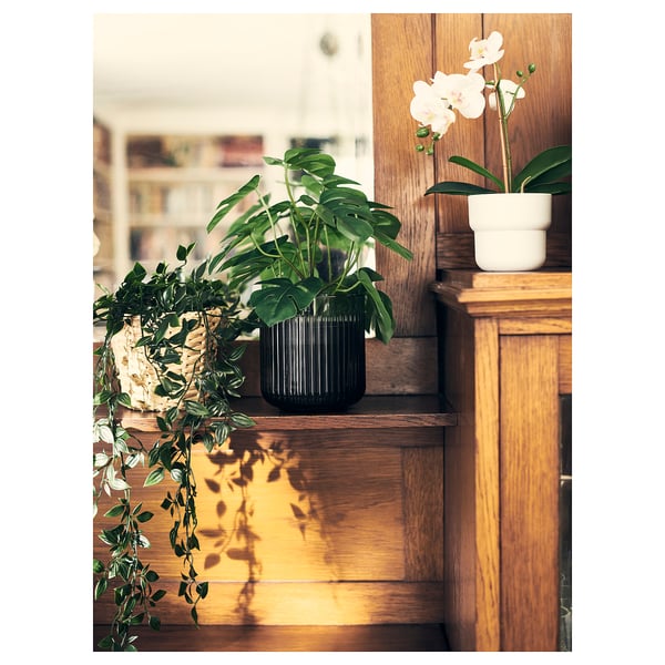 FEJKA Pianta artificiale in vaso, da interno/esterno monstera, 12 cm