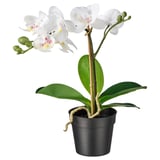 FEJKA Pianta artificiale in vaso, Orchidea bianco, 9 cm