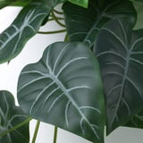 FEJKA Pianta artificiale/supporto parete, da interno/esterno/verde/lilla