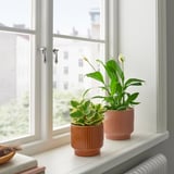 HONUNGSPALM Portavasi, da interno/esterno/marrone, 12 cm