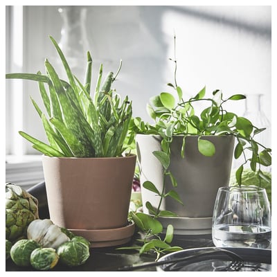 KLARBÄR Vaso con sottovaso, da interno/esterno marrone, 12 cm