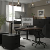 MITTZON Scrivania regolabile in altezza, elettrico impiallacciatura di noce/nero, 120x80 cm