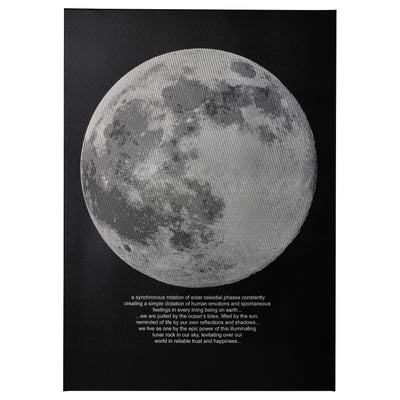 PJÄTTERYD Canvas, chiaro di luna, 50x70 cm