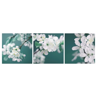 PJÄTTERYD Set di 3 canvas, fiori di ciliegio/bianco, 56x56 cm
