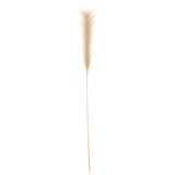 SMYCKA Fiore artificiale, Erba della Pampa, 86 cm