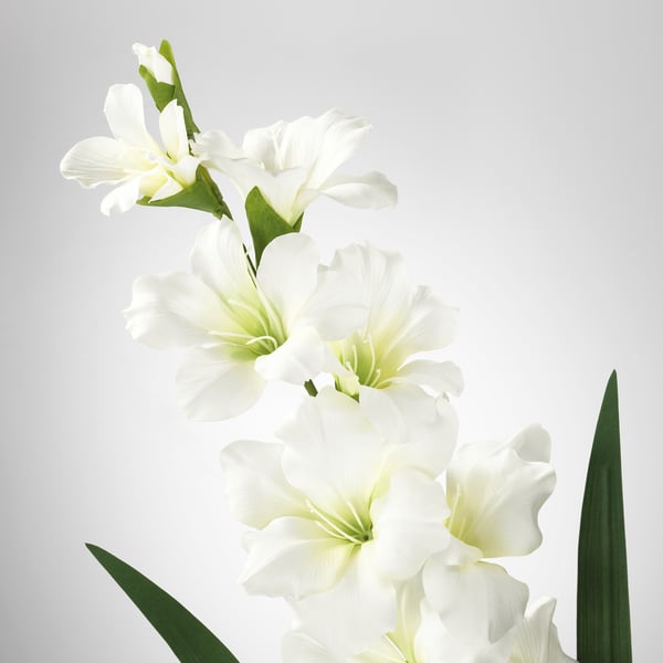 SMYCKA Fiore artificiale, Gladiolo/bianco, 100 cm