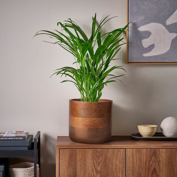 SVARTHÄTTA Portavasi, legno di mango, 15 cm