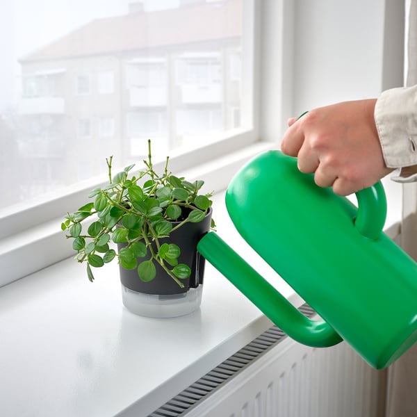 VÅRDTRÄD Vaso a riserva d'acqua, da interno/esterno trasparente/antracite, 9 cm