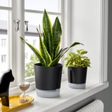 VÅRDTRÄD Vaso a riserva d'acqua, da interno/esterno trasparente/antracite, 15 cm