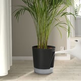 VÅRDTRÄD Vaso a riserva d'acqua, da interno/esterno trasparente/antracite, 24 cm