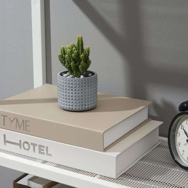 BÄCKDRÅG Macetero, superficie con puntos/blanco gris, 6 cm