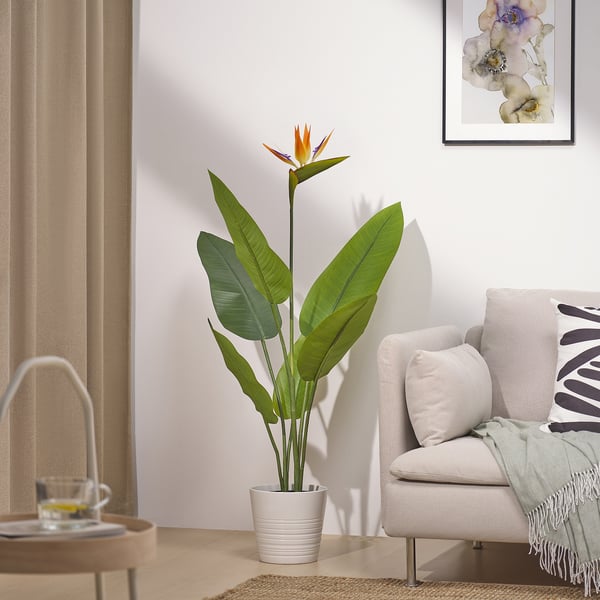 FEJKA Planta artificial, interior/exterior Ave del paraíso, 19 cm