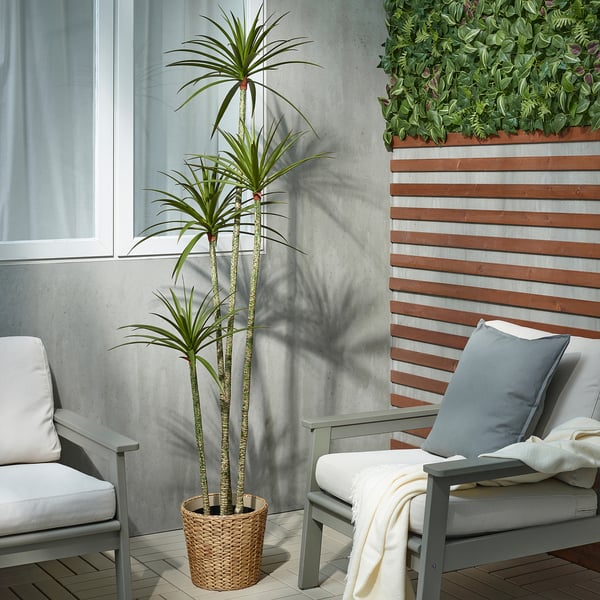 FEJKA Planta artificial, interior/exterior Banderilla, 23 cm