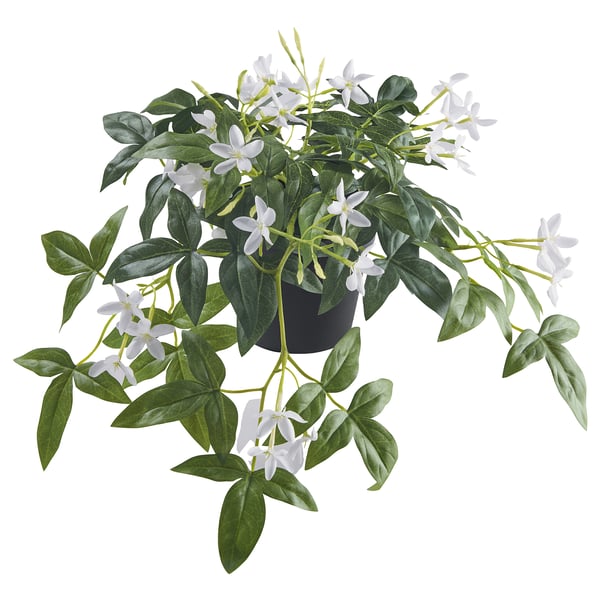 FEJKA Planta artificial, interior/exterior/colgante jazmín, 12 cm