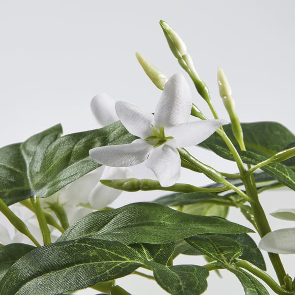 FEJKA Planta artificial, interior/exterior/colgante jazmín, 12 cm